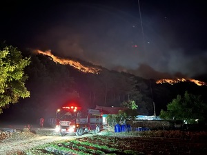 산림청, 경북 울진 산불에 &apos;산불 3단계&apos; 발령