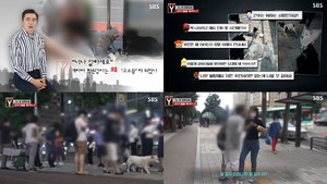 ‘궁금한이야기Y’ 미금역 버스 정류장에 묶인 강아지 3마리, 방치 염려하는 사람들 모두 ‘고소와 신고’ (2)