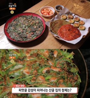 ‘생방송오늘저녁’ 서울 종로 피맛골 3가지전·비지찌개 맛집 위치는? 미나리전-김치전-호박전-해물파전-순수감자전-장떡 外