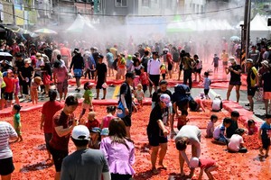 횡성군, 둔내고랭지토마토축제 내달 13일 개막