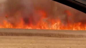 지옥같은 폭염·들불…유럽이 불타고 있다(영상)