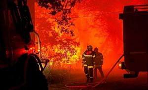 유럽 살인 폭염·산불…사망자 속출에 잇단 대피령(영상)