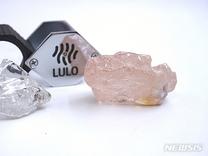 앙골라에서 300년 래 최대 핑크 다이아몬드 발견돼…170캐럿