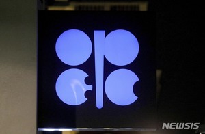 OPEC+ 하루 10만배럴 증산…"바이든에 대한 모욕 수준"
