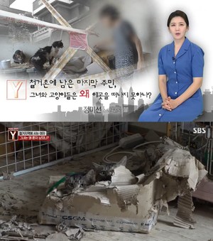 ‘궁금한이야기Y’ 80년대 유명가수 누나, 20년 태권브이 애니메이터…고양이 30마리와 철거촌에 사는 사연 (3)