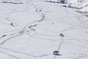 베이조스·블룸버그·게이츠…얼음 녹은 그란란드서 광물 탐사 진행중
