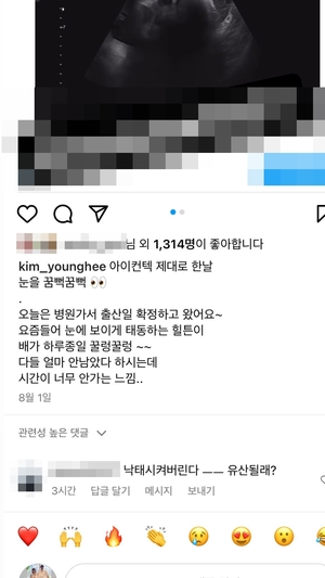 "낙태시켜 버린다"…&apos;만삭&apos; 김영희, 유산 언급 악플러 댓글 박제