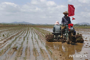 북한, 인도에서 쌀 1만t 수입 추진 움직임