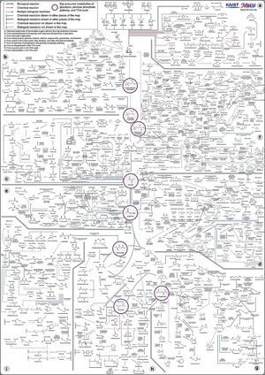 KAIST, 바이오 기반 친환경 화학물질 합성지도 완성