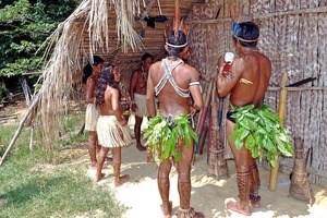 &apos;구멍파는 남자&apos;…26년간 문명 거부한 브라질 최후의 원주민 사망