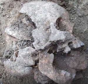 400년 전 매장된 유골 발굴…뱀파이어로 부활 막으려 했다