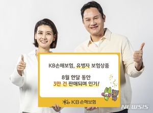 KB손보, 유병자 보험 한달 간 3만건 판매