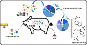 생명연구원, 축산악취 줄이고 생산성 높이는 사료첨가제 개발