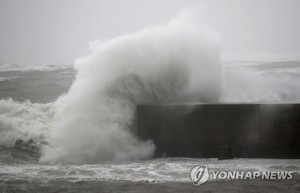 제14호 태풍 난마돌 일본서 초속 51m 강풍 관측, 규슈 460만명 피난 권고·하루 강수량 390mm