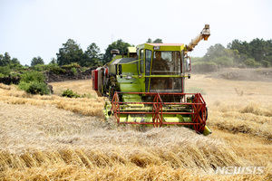 농식품부 "곡물 수입 가격 4분기부터 안정…환율 상승 변수"