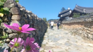 한옥마을서 솔송주 즐기고 선비길 걷는다…풍류가득 함양