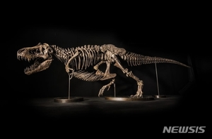 티라노사우루스 공룡 화석 亞 첫 경매…추정가 220억~365억