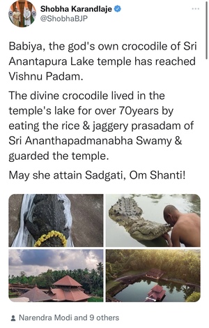 80년간 인도 힌두교 사원 지킨 악어 사망…육식 안 먹었다고?