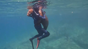 야생 바다사자의 포옹…스노클링 10대 “넋 빠졌다”(영상)