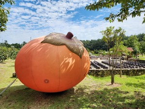 창원단감테마공원 &apos;오(五)! 창원단감이다&apos; 인증 이벤트