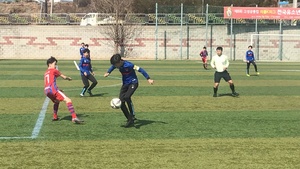 고성군, 이번 주는 스포츠 축제…유소년축구 등 3개 전국대회 동시개최