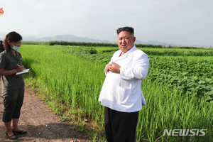 북한 올 쌀 생산량 136만t 예상…3년째 역대 최저수준