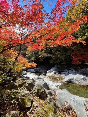 "가을 단풍놀이는 용추계곡 비경 가평 연인산 계곡길서 하세요"