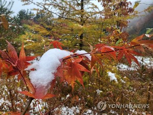 [내일 전국 날씨] 때이른 가을 추위…아침 1~10도에 곳곳 서리·얼음