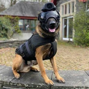 범죄 실시간 촬영하는 경찰견 특수 헬멧…영상 자동 저장·파기 안돼