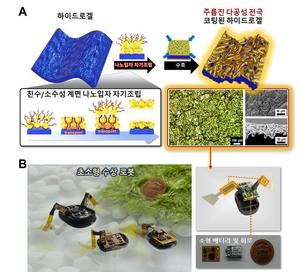 韓 연구진, 물장군만한 초소형 수상로봇 세계 첫 개발