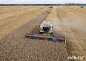 러 곡물 협정 중단에 국제 곡물값 들썩…밀 가격 6% ↑