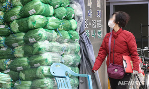 "김장철 배춧값 작년보다 싸고, 마늘·건고추 등 양념류 비쌀 듯"