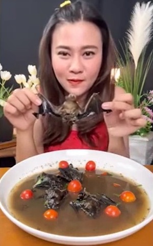 박쥐 통째로 끓인 스튜로 &apos;먹방&apos; 찍다 기소된 태국 유튜버…최대 5년형