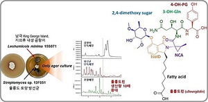 울릉도 토종 미생물에 남극 곰팡이 결합 신규 암 전이 억제물질 개발