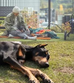 &apos;동물농장&apos; 배정남, 전신마비 판정 반려견 &apos;벨&apos; 이야기 전해…매일 재활센터 찾아