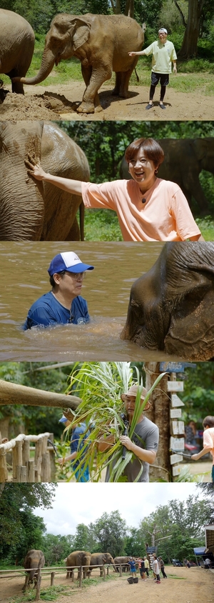 &apos;너 좋아하는 거 알지?&apos;…김용만, 이번엔 코끼리와 로맨스