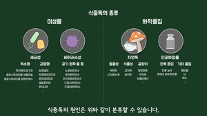 겨울에도 안심 NO…겨울철 ‘노로바이러스 식중독’ 주의해야