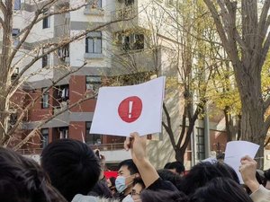 "백지·방정식·알파카"…당국 탄압 맞서 창의적 시위하는 중국인들