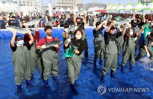 맨손으로 방어 잡는 &apos;최남단 방어축제&apos; 서귀포서 28일 개막