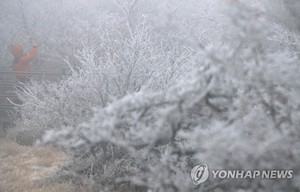 [오늘 전국 날씨] 체감온도 -15도 안팎 강추위…전국 곳곳 눈