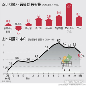 11월 물가 한풀 꺾였지만 고물가 여전…상승폭 24년 만에 최대(종합2보)