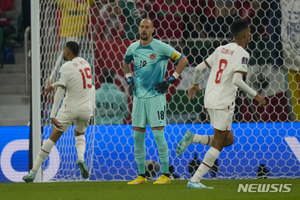 스페인·캐나다, 골키퍼 치명적 실수로 패전…포르투갈도?