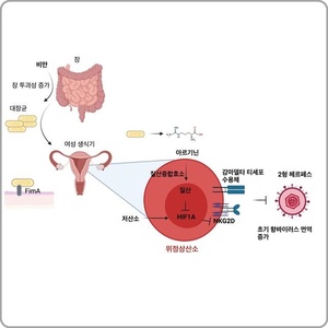 KAIST, 비만이 성병 저항성 확보에 도움…생쥐 시험 통해 확인