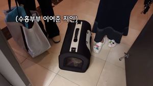 박수홍, 와이프 김다예와 이어준 지인 만남→반려고양이 다홍 근황 공개