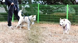 文 전 대통령 키우던 &apos;곰이&apos;-&apos;송강&apos; 근황 공개…"건강 상태 양호"