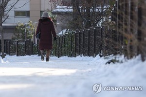 [오늘 전국 날씨] 곳곳에 대설특보…한낮에도 영하권 강추위