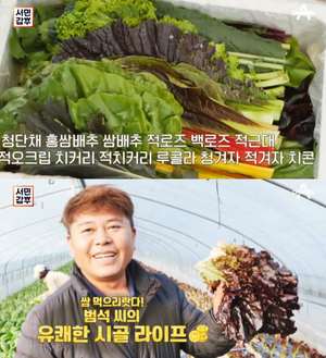 ‘서민갑부’ 이범석 쌈채소 30여 종, 양주농장서 사랑 듬뿍 주며 재배!