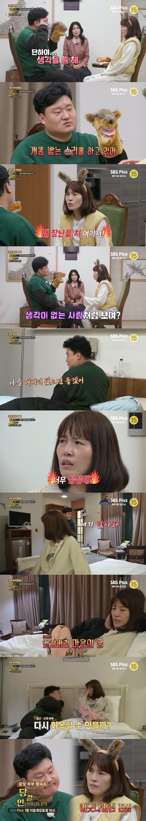 "개똥 밟는 소릴 하고 있어"…배정근, 아내 김단하에 폭발