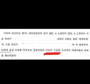 김다예, 비방 유튜버 공소장 공개…"31회 명예훼손 혐의"