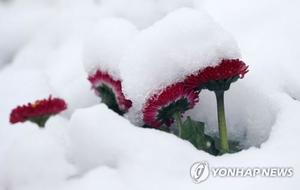 [날씨] 강원 대부분 밤부터 폭설…중·북부 산지 대설주의보